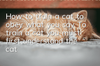 How to train a cat to obey what you say? To train a cat, you must first understand the cat!