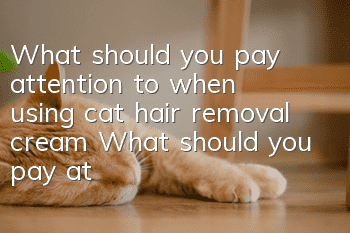 What should you pay attention to when using cat hair removal cream? What should you pay attention to when using cat hair removal cream?