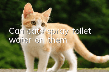 Can cats spray toilet water on them?