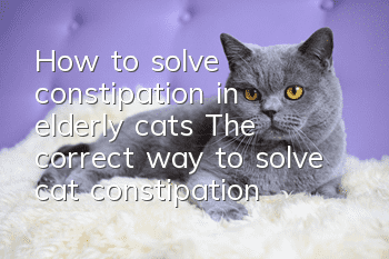 How to solve constipation in elderly cats? The correct way to solve cat constipation!