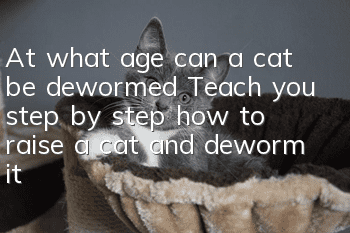 At what age can a cat be dewormed? Teach you step by step how to raise a cat and deworm it!