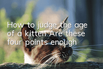 How to judge the age of a kitten? Are these four points enough?