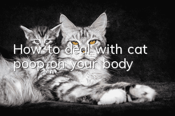 How to deal with cat poop on your body