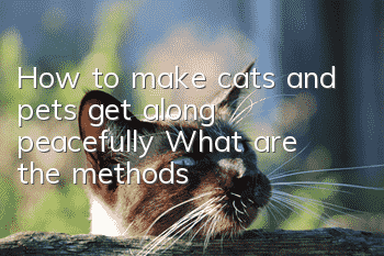 How to make cats and pets get along peacefully? What are the methods?