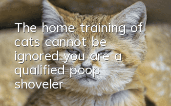 The home training of cats cannot be ignored, you are a qualified poop shoveler!