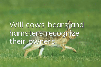Will cows, bears and hamsters recognize their owners?