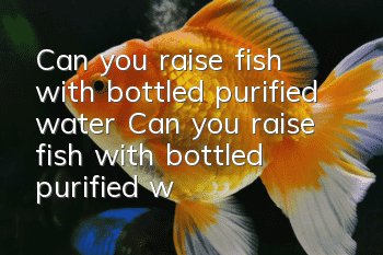 Can you raise fish with bottled purified water? Can you raise fish with bottled purified water?