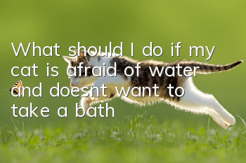 What should I do if my cat is afraid of water and doesn’t want to take a bath?