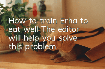 How to train Erha to eat well? The editor will help you solve this problem!