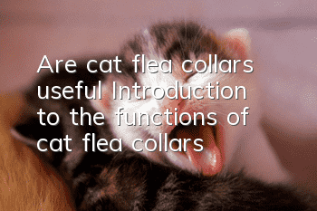 Are cat flea collars useful? Introduction to the functions of cat flea collars