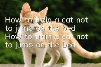 How to train a cat not to jump on the bed? How to train a cat not to jump on the bed!