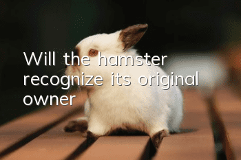 Will the hamster recognize its original owner?