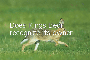 Does Kings Bear recognize its owner?