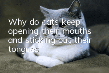 Why do cats keep opening their mouths and sticking out their tongues?