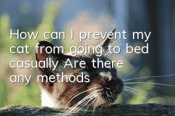 How can I prevent my cat from going to bed casually? Are there any methods?