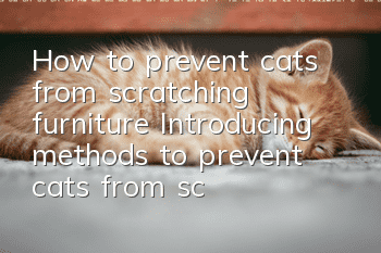How to prevent cats from scratching furniture? Introducing methods to prevent cats from scratching furniture!