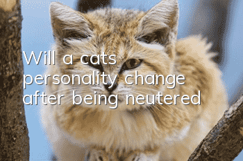 Will a cat's personality change after being neutered?