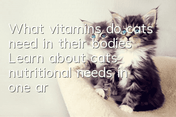 What vitamins do cats need in their bodies? Learn about cats’ nutritional needs in one article!