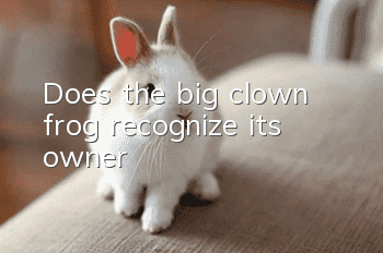 Does the big clown frog recognize its owner?