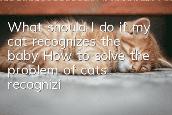What should I do if my cat recognizes the baby? How to solve the problem of cats recognizing babies?
