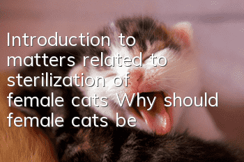 Introduction to matters related to sterilization of female cats Why should female cats be neutered?