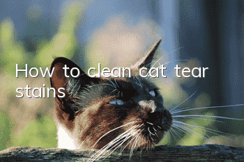 How to clean cat tear stains
