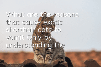 What are the reasons that cause exotic shorthair cats to vomit? Only by understanding the reasons can we solve the problem!