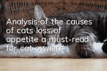 Analysis of the causes of cats’ loss of appetite, a must-read for cat owners!