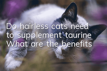 Do hairless cats need to supplement taurine? What are the benefits?