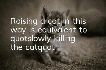 Raising a cat in this way is equivalent to "slowly killing the cat"!