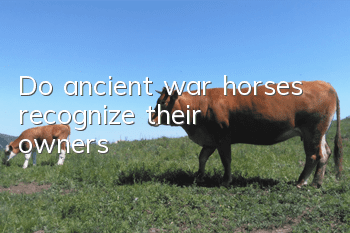 Do ancient war horses recognize their owners?