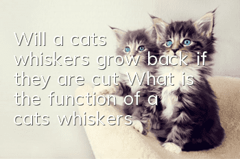 Will a cat's whiskers grow back if they are cut? What is the function of a cat’s whiskers?