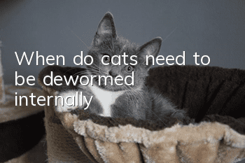 When do cats need to be dewormed internally?