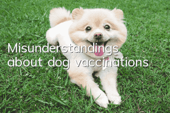 Misunderstandings about dog vaccinations