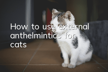 How to use external anthelmintics for cats?