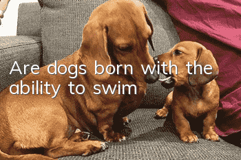Are dogs born with the ability to swim?