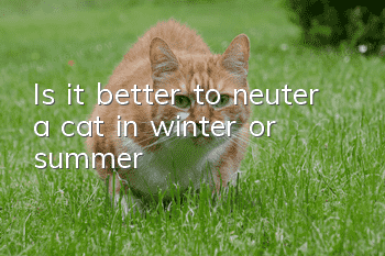Is it better to neuter a cat in winter or summer?