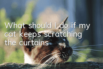 What should I do if my cat keeps scratching the curtains?