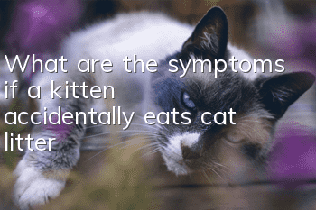 What are the symptoms if a kitten accidentally eats cat litter?