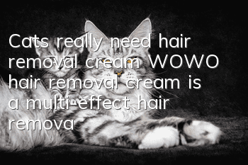 Cats really need hair removal cream, WOWO hair removal cream is a multi-effect hair removal cream!