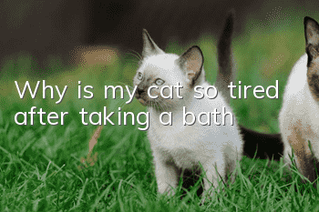 Why is my cat so tired after taking a bath?