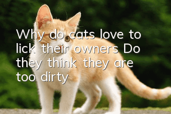 Why do cats love to lick their owners? Do they think they are too dirty?