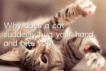 Why does a cat suddenly hug your hand and bite you?