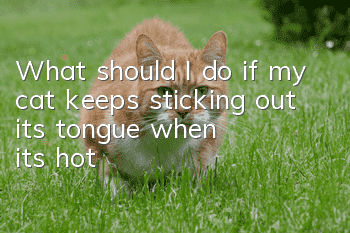 What should I do if my cat keeps sticking out its tongue when it's hot?