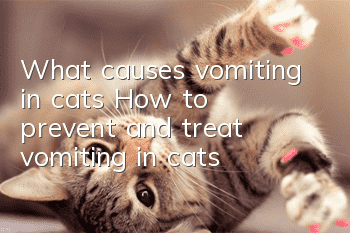 What causes vomiting in cats? How to prevent and treat vomiting in cats?