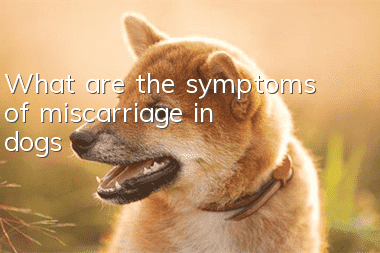 What are the symptoms of miscarriage in dogs?