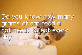 Do you know how many grams of cat food a cat needs to eat every day?