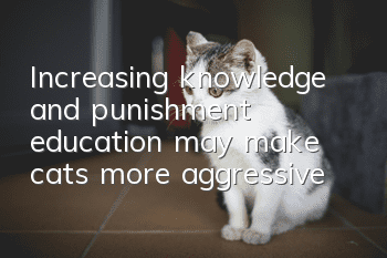 Increasing knowledge and punishment education may make cats more aggressive!