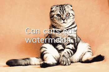 Can cats eat watermelon?