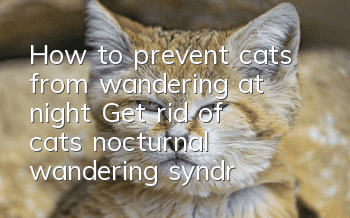 How to prevent cats from wandering at night? Get rid of cats’ “nocturnal wandering syndrome”!